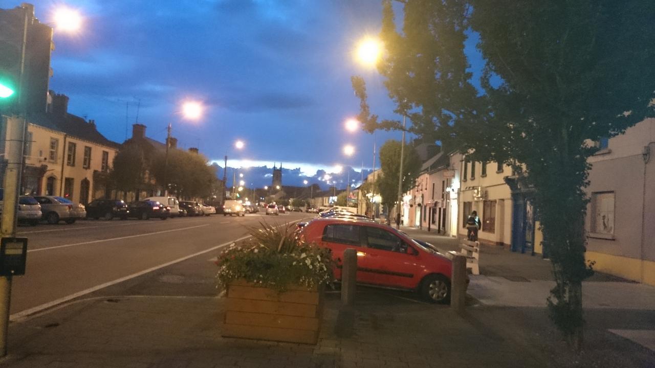 מלון Ballymahon Skellys מראה חיצוני תמונה